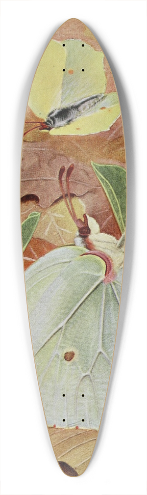 Paul-Andre Robert - Le Citron 39.3 inch art pintail longboard deck