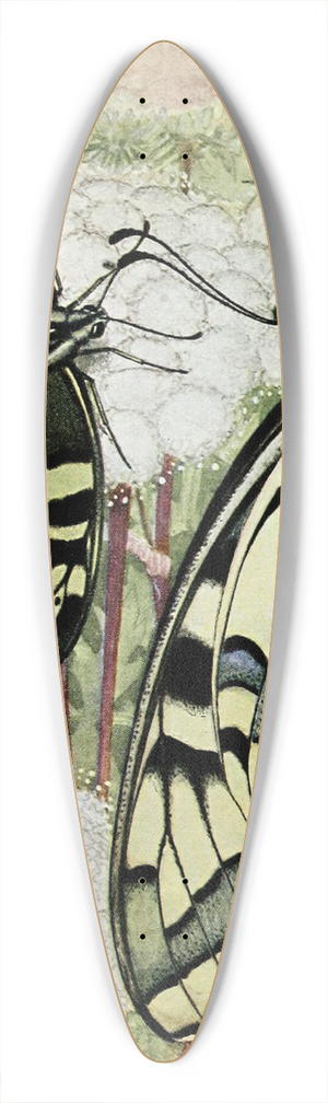 Paul-Andre Robert - Le Machaon 39.3 inch art pintail longboard deck