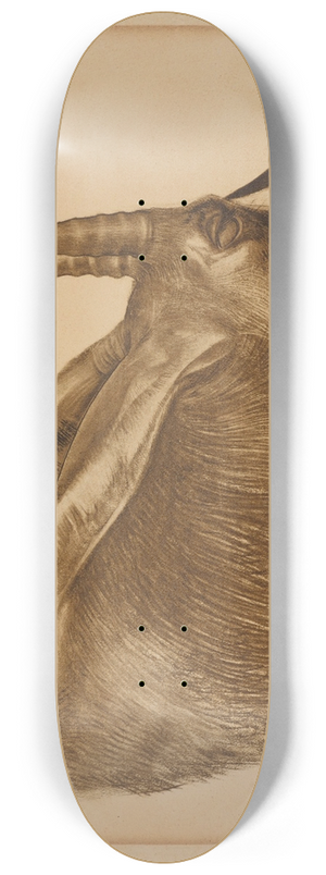 Alexandre Jacovleff - Antilope Hippotrague 8.25 inch art skate deck Alexandre Jacovleff - Antilope Hippotrague 8.25 inch art skate deck