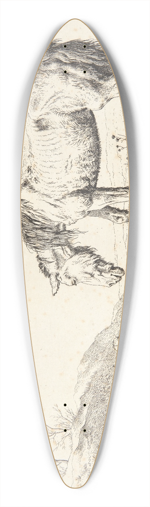 Paulus Potter - To g 39.3 inch art pintail longboard deck