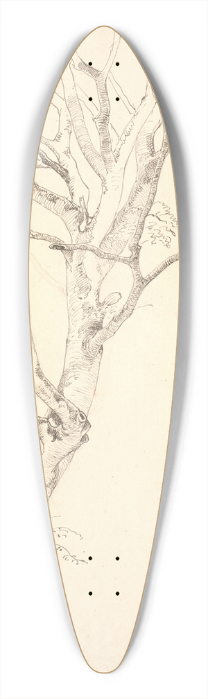 P. C. Skovgaard - Afbladet bgetr 39.3 inch art pintail longboard deck