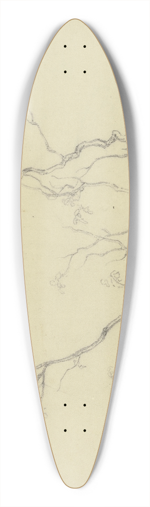 Peter Burnitz - Bush 39.3 inch art pintail longboard deck