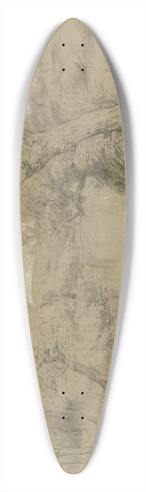 Peter Burnitz - Flulandschaft bei Erfelden 39.3 inch art pintail longboard deck