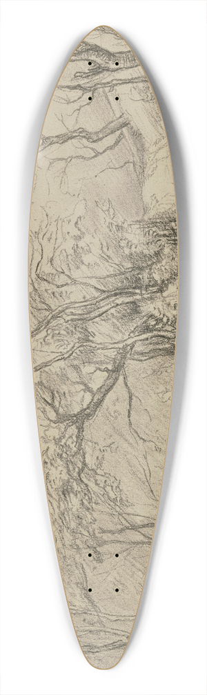 Peter Burnitz - Forest path 39.3 inch art pintail longboard deck