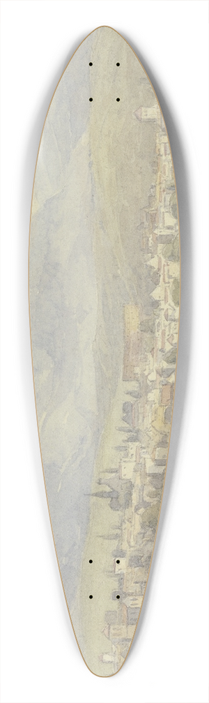 Peter Burnitz - Suburbs of Segovia 39.3 inch art pintail longboard deck