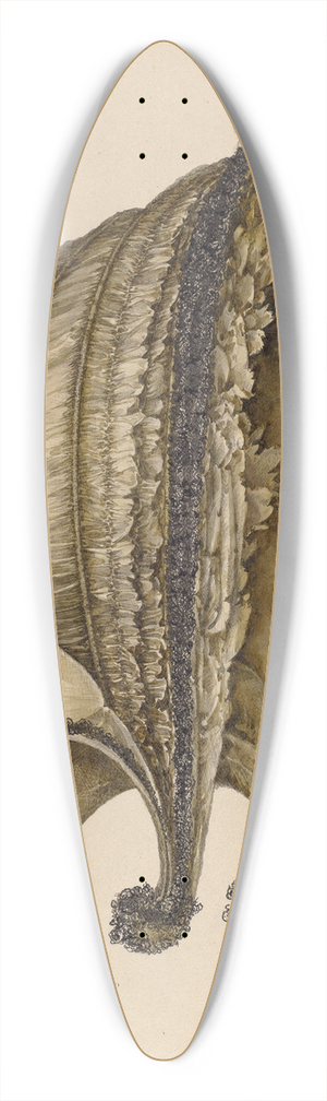 Peter Connin - Silk Bonnet 39.3 inch art pintail longboard deck