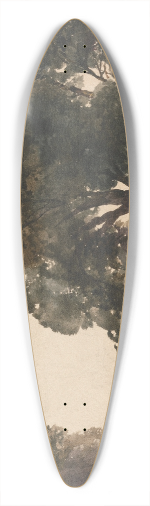 Peter DeWint - The Wagon 39.3 inch art pintail longboard deck