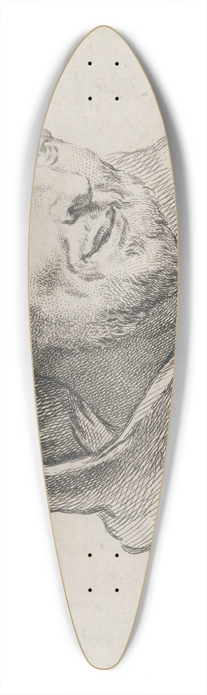 Peter Paul Rubens - Capuchin Monk 39.3 inch art pintail longboard deck