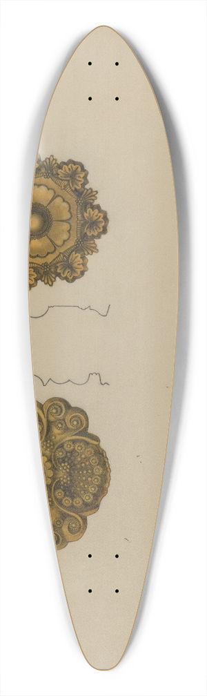 Philip Johnson - Rosette Mounts 39.3 inch art pintail longboard deck
