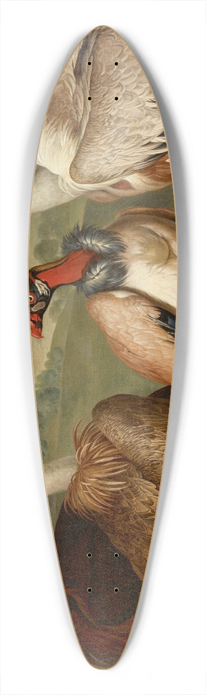 Philipp Ferdinand de Hamilton - Vier Geier Verschiedener Art 39.3 inch art pintail longboard deck
