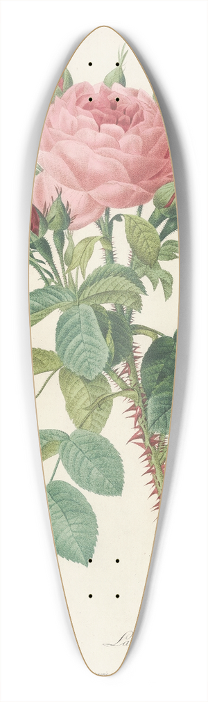 Pierre Joseph Redout - Rosa Bifera Macrocarpa 39.3 inch art pintail longboard deck