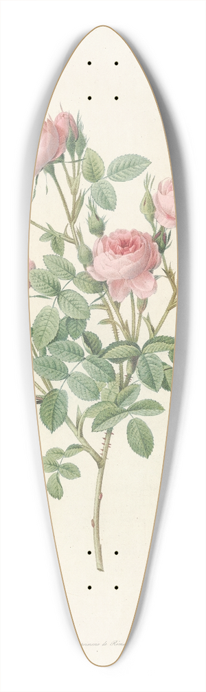Pierre Joseph Redout - Rosa Pomponia 39.3 inch art pintail longboard deck