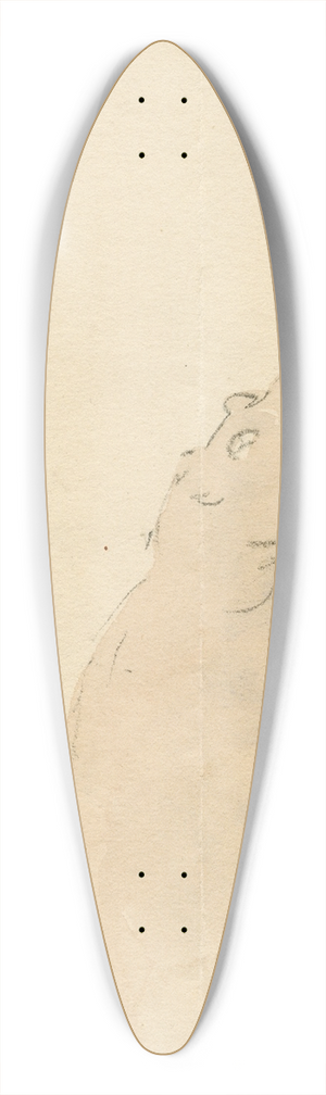 Pieter van Loon - Het nijlpaard in de Engelse dierentuin 39.3 inch art pintail longboard deck
