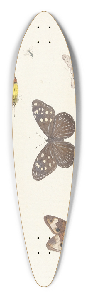 Pieter Withoos - Blad met vijf vlinders en twee vliegen 39.3 inch art pintail longboard deck