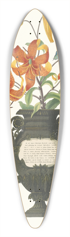 Priscilla Susan Bury - Lilium Tigrinum 39.3 inch art pintail longboard deck