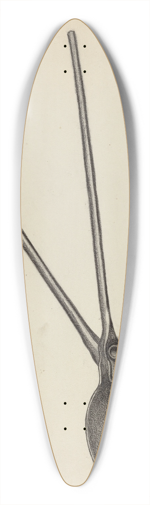 Raymond Manupelli - Wafer Iron 39.3 inch art pintail longboard deck
