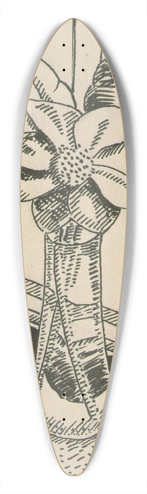 Raymond McIntyre - By the window (Still life) 39.3 inch art pintail longboard deck