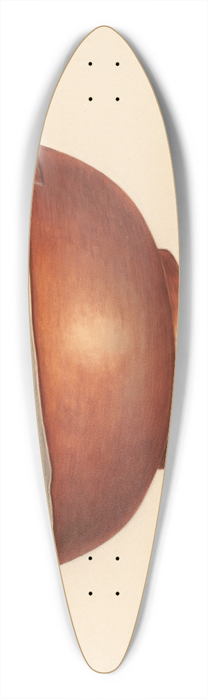 Rex F. Bush - Copper Bowl 39.3 inch art pintail longboard deck