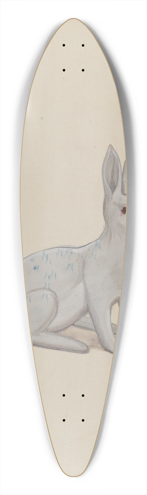 Rex F. Bush - Rabbit 39.3 inch art pintail longboard deck