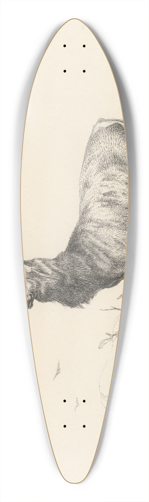 Richard Ansdell - The Sentinel 39.3 inch art pintail longboard deck