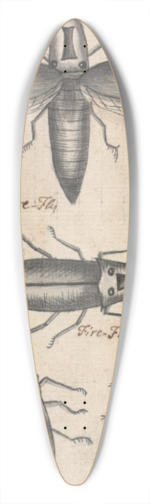 Richard Brookes - Fireflies 39.3 inch art pintail longboard deck