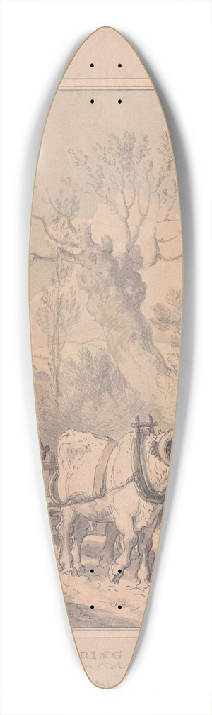 Richard Corbould - Spring 39.3 inch art pintail longboard deck