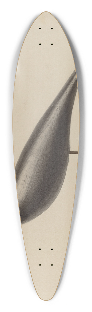 Roberta Spicer - Decoy 39.3 inch art pintail longboard deck
