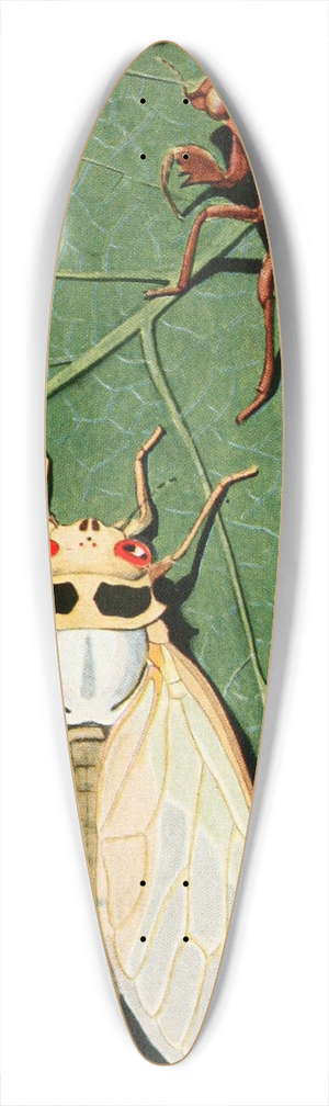 Robert Evans Snodgrass - Cicada 39.3 inch art pintail longboard deck