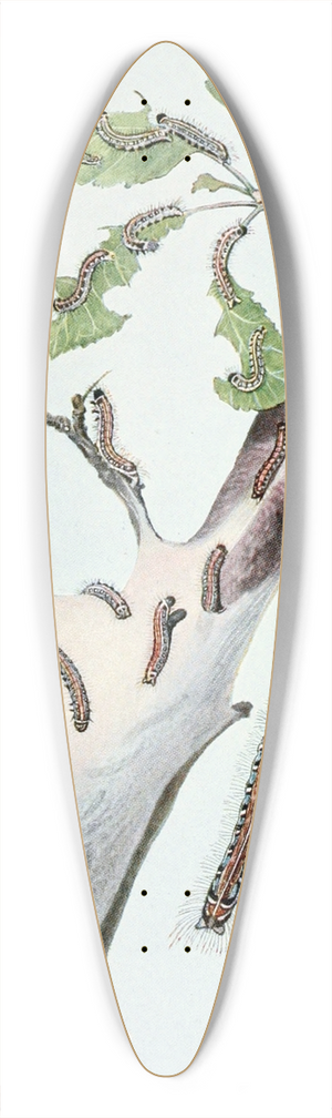 Robert Evans Snodgrass - The Tent Caterpillar 39.3 inch art pintail longboard deck