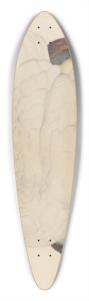 Robert Gilson - Hen on Nest 39.3 inch art pintail longboard deck