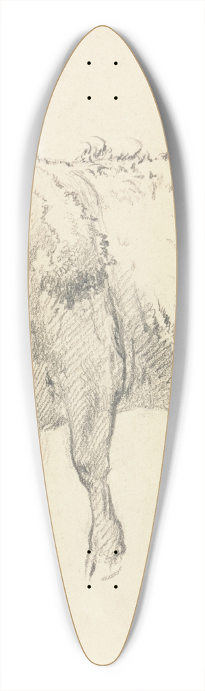 Robert Hills - A Bull 39.3 inch art pintail longboard deck