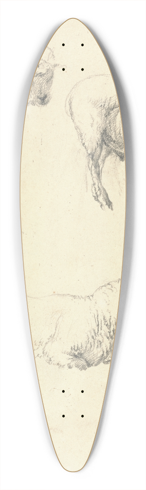 Robert Hills - Sheep 39.3 inch art pintail longboard deck