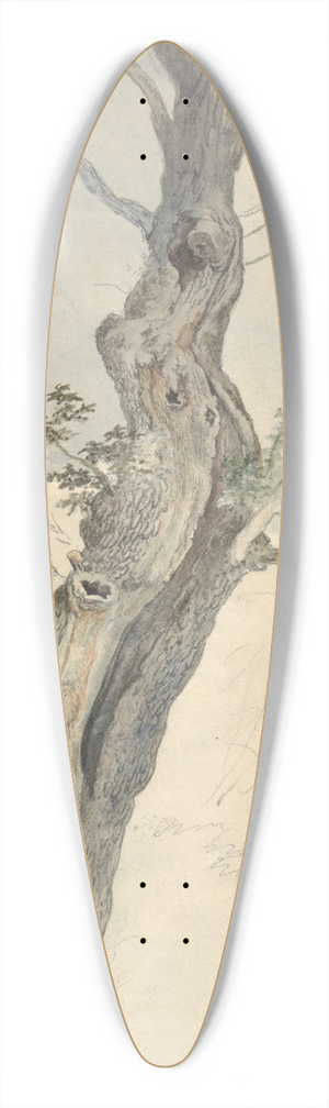 Robert Hills - Tree Study 39.3 inch art pintail longboard deck