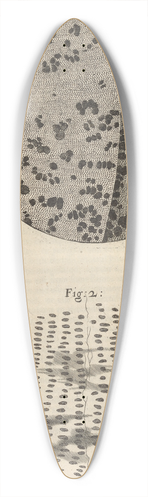 Robert Hooke - Microscopic view of charcoal and petrified wood 39.3 inch art pintail longboard deck