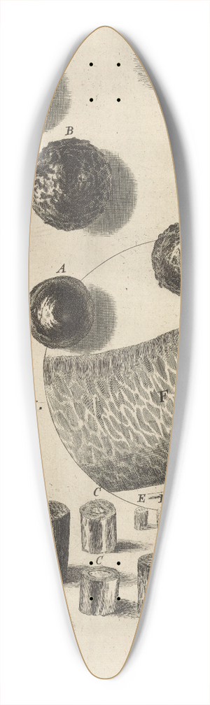 Robert Hooke - Microscopic view of flint or steel 39.3 inch art pintail longboard deck