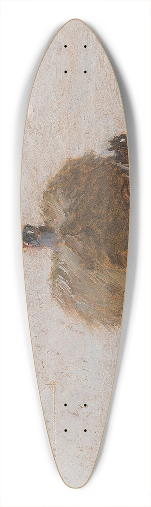 Robert Schleich - Heuernte 39.3 inch art pintail longboard deck