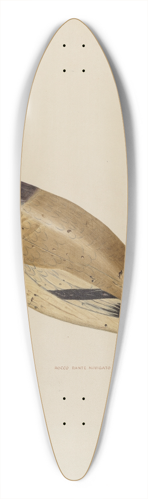 Rocco Navigato - Decoy 39.3 inch art pintail longboard deck