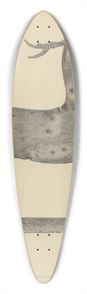 Rollington Campbell - Weather Vane 39.3 inch art pintail longboard deck