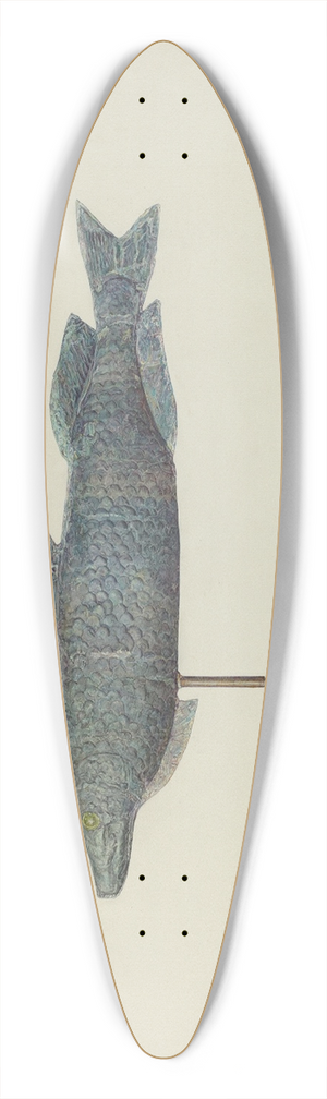 Sadie Berman - Fish Weather Vane 39.3 inch art pintail longboard deck