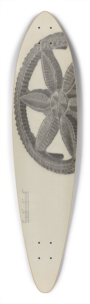 Salvatore Borrazzo - Pa. German Flatiron Holder 39.3 inch art pintail longboard deck