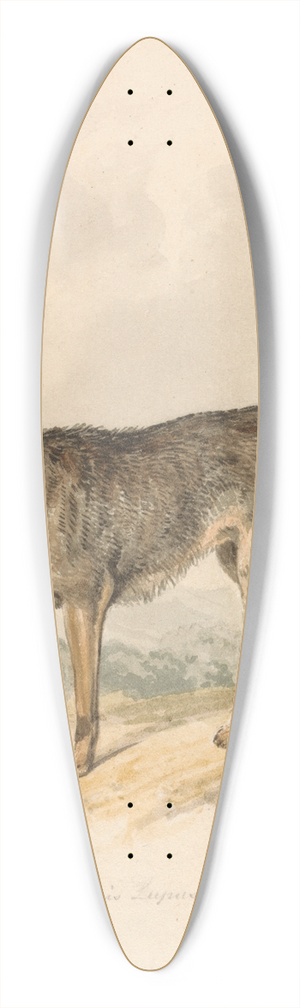 Samuel Howitt - Canis Lupus, or Gray Wolf 39.3 inch art pintail longboard deck