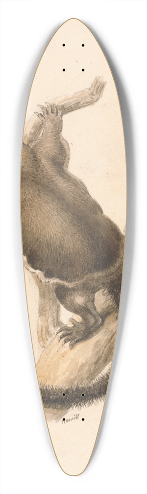 Samuel Howitt - Flying Squirrel 39.3 inch art pintail longboard deck