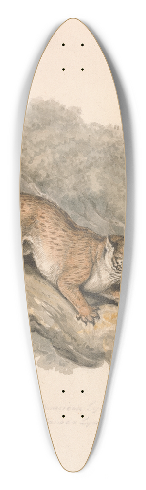 Samuel Howitt - North American Lynx 39.3 inch art pintail longboard deck
