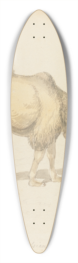 Samuel Howitt - Russian Camel 39.3 inch art pintail longboard deck