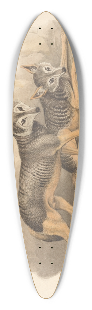 Samuel Howitt - Two Hyenas 39.3 inch art pintail longboard deck