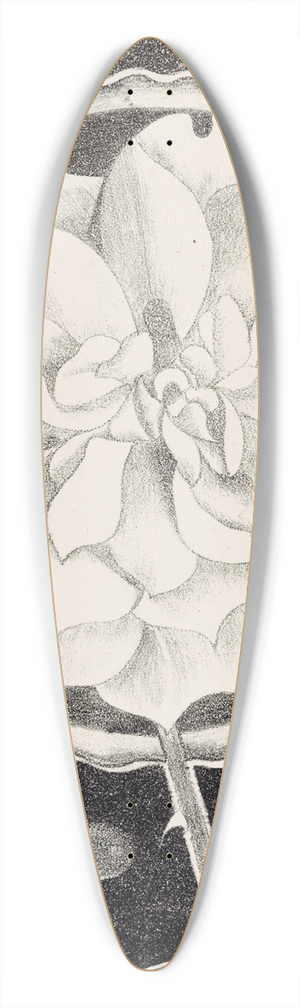 Samuel Jessurun de Mesquita - Roos 39.3 inch art pintail longboard deck