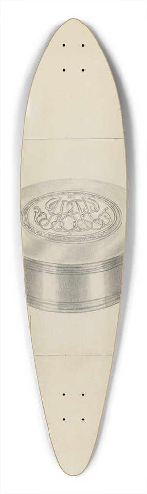 Sara Garfinkel - Silver Box 39.3 inch art pintail longboard deck