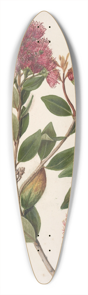 Sarah Featon - Aka. Rata 39.3 inch art pintail longboard deck