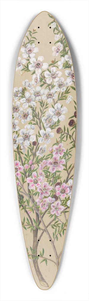 Sarah Featon - Manuka 39.3 inch art pintail longboard deck