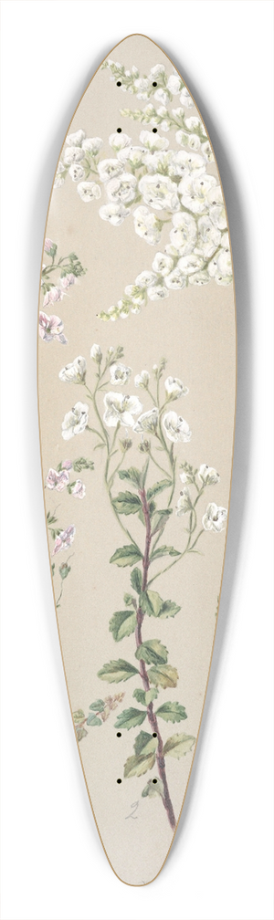 Sarah Featon - Veronica 39.3 inch art pintail longboard deck